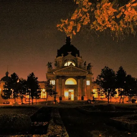 Diamond - Castle Muranyi Budapest